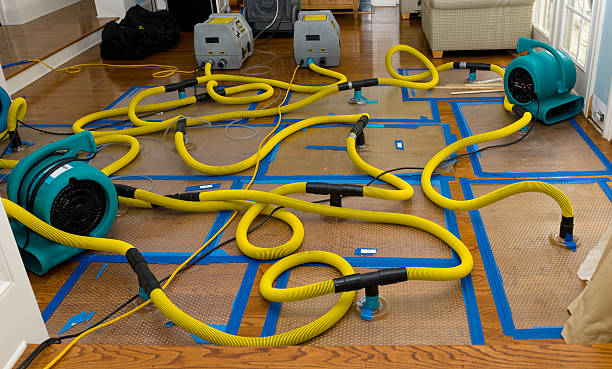 Professional Structural Drying And Dehumidification technician working in O'Fallon, MO